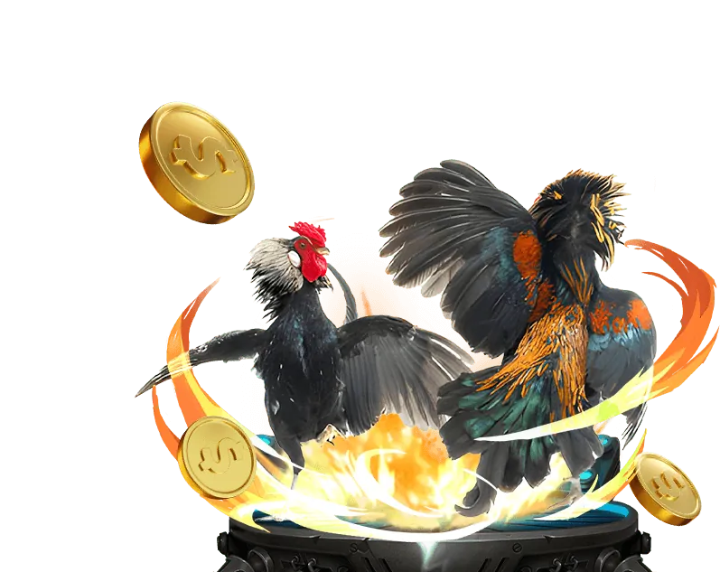 Điều khoản dịch vụ